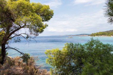 Sithonia 'daki Kalogria Sahili, Halkidiki, Yunanistan. Kalogria Sahili yaz mevsiminde turkuaz renkli parlayan deniz.