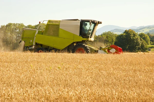 Combine harvester at wheat field — Stock Photo, Image