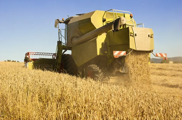 Combine harvester at wheat field — Stock Photo, Image