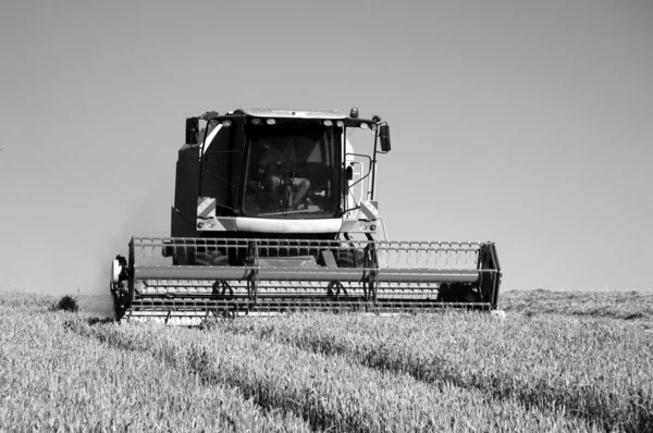 Комбайн на пшеничном поле — стоковое фото