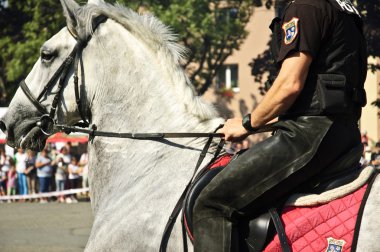 monte polis.