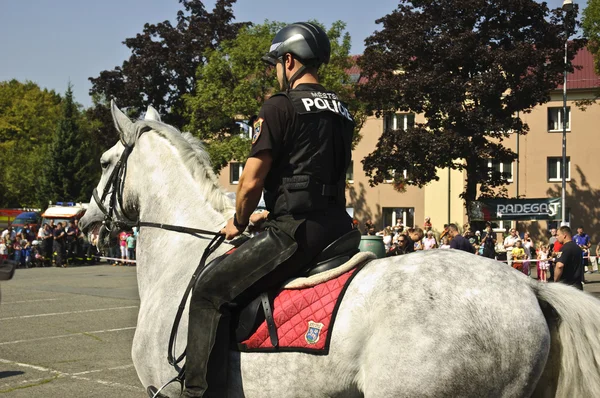 Mounted policeman. — Stock Photo, Image