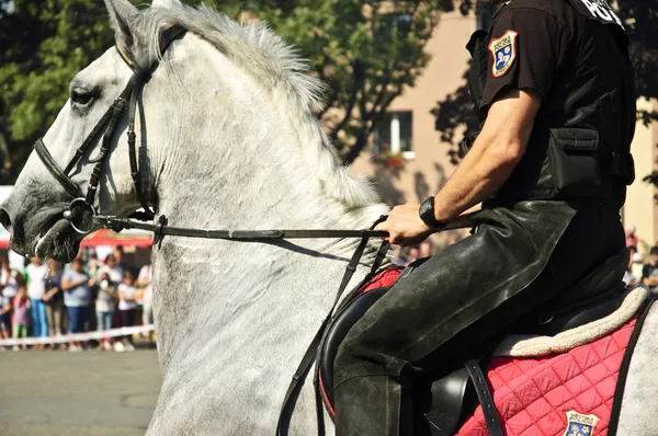 Mounted policeman. — Stock Photo, Image