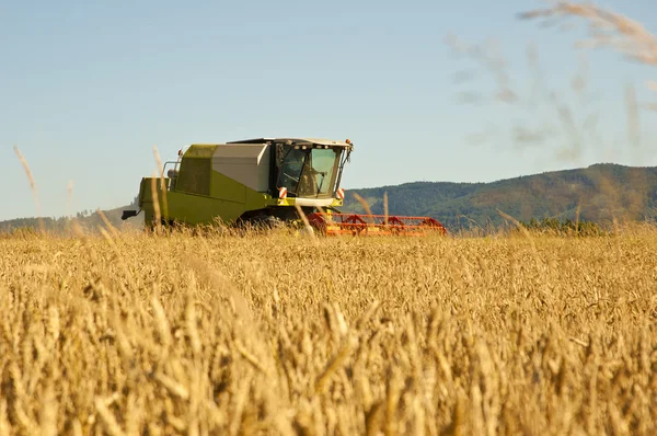 Combine harvester. — Stock Photo, Image