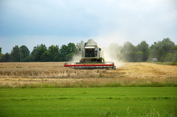 Combine harvester. — Stock Photo, Image