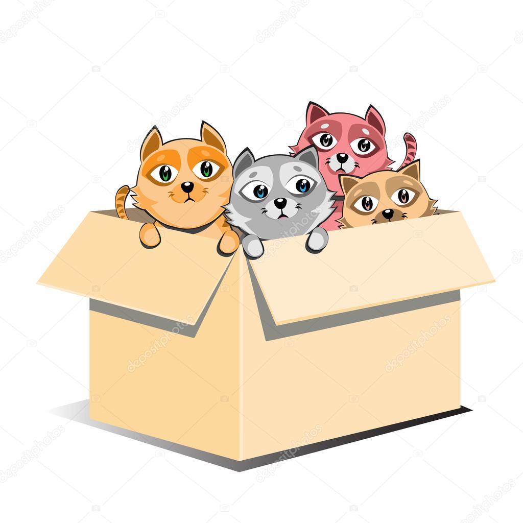 Cat in please donate to animals box cartoon vector illustration