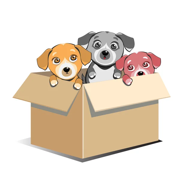Abandoned Puppies Adoption In Box — Stock Vector