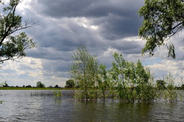 Bulutları olan güzel bir nehir, yaz manzarası.