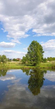 Nehir, ağaçlar ve bulutlarla dolu güzel bir yaz manzarası.