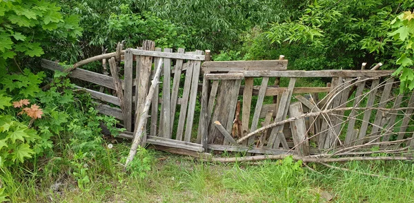 old wooden fence in the forest