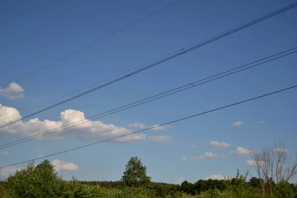 緑の森の上を雲に覆われた青い空に — ストック写真