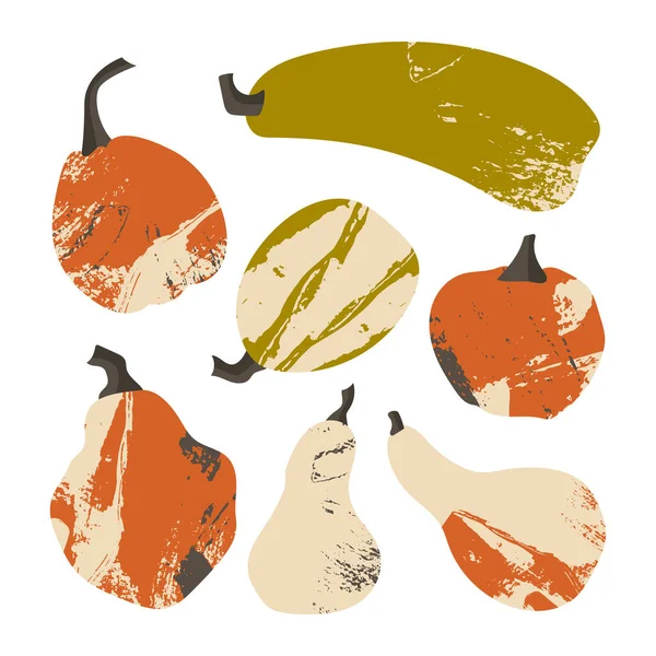 Labu Labu Zucchini Sayuran Musim Gugur Untuk Desain Dekoratif Musim - Stok Vektor