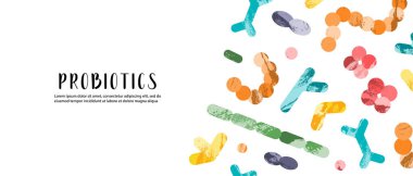 Probiyotik. Laktik asit bakterisi. Bağırsak ve bağırsak florası için iyi mikroorganizmalar. Mikro flora. Mikrobiyom. Bifidobakteryum, laktobacillus, laktokok, termophilus streptococcus. Vektör pankartı