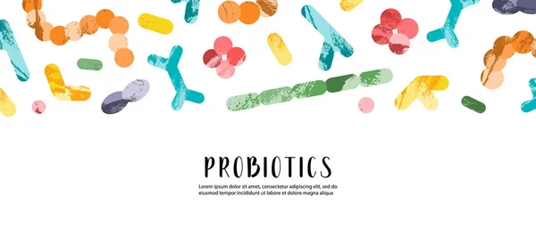 Probiyotik. Laktik asit bakterisi. Bağırsak ve bağırsak florası için iyi mikroorganizmalar. Mikro flora. Mikrobiyom. Bifidobakteryum, laktobacillus, laktokok, termophilus streptococcus. Vektör pankartı