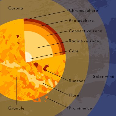 Güneş iç yapısı. Güneş modeli, yıldız diyagramı. Çekirdek, radyasyon, konveksiyon bölgesi, atmosfer, korona. Manyetik aktivite: güneş lekesi, parlaklık, parlaklık. Astronomi. Vektör düz çizgi film illüstrasyonu