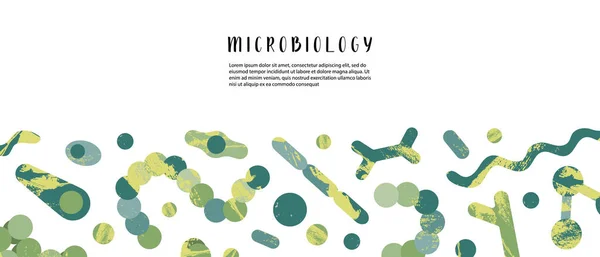 Microbiología Bacteriología Bacterias Microorganismos Coccus Bifidobacterium Clostridium Streptococcus Staphylococcus Spirillum — Vector de stock