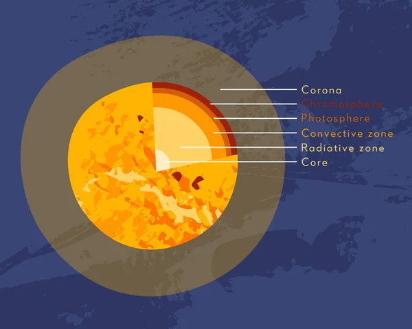 Interne Structuur Van Zon Zonnemodel Sterrendiagram Kern Stralend Convectieve Zone — Stockvector