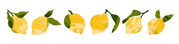 Lemon Dingin Buah Jeruk Segar Makanan Organik Yang Sehat Buah - Stok Vektor