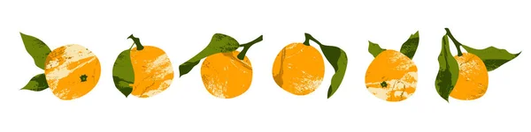 Mandarin Juicy Jeruk Jeruk Clementine Buah Jeruk Segar Makanan Organik - Stok Vektor