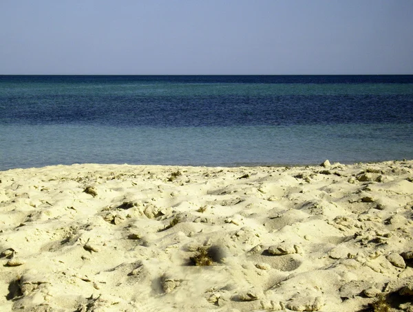 Spiaggia sabbiosa sul mare — Foto Stock