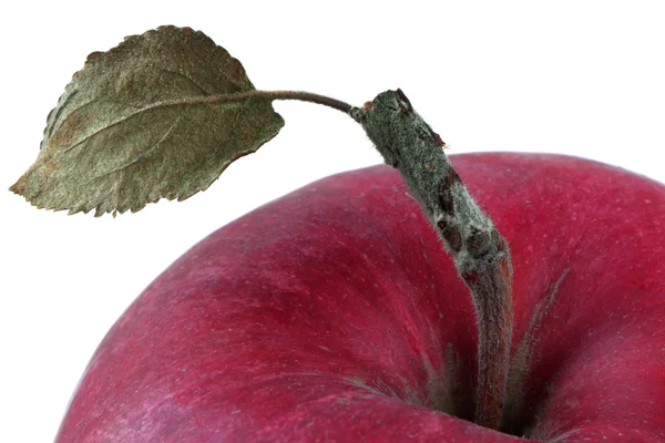 Parte do close-up da maçã — Fotografia de Stock