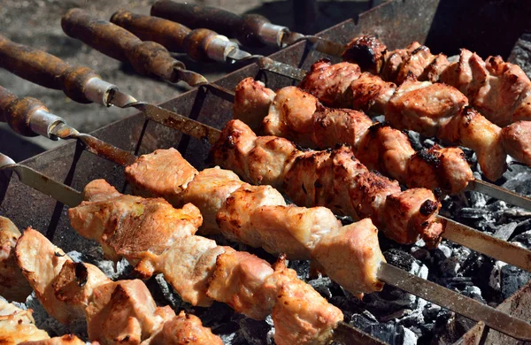 doğasına kebab pişirme
