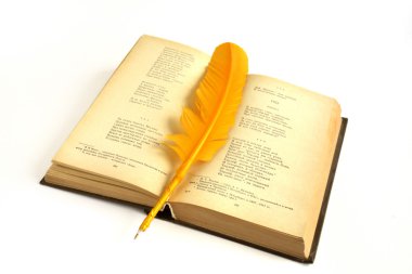 used books and  quill Pen  isolated on a white background  clipart