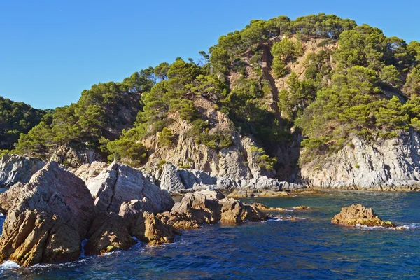 Orilla rocosa del mar — Foto de Stock