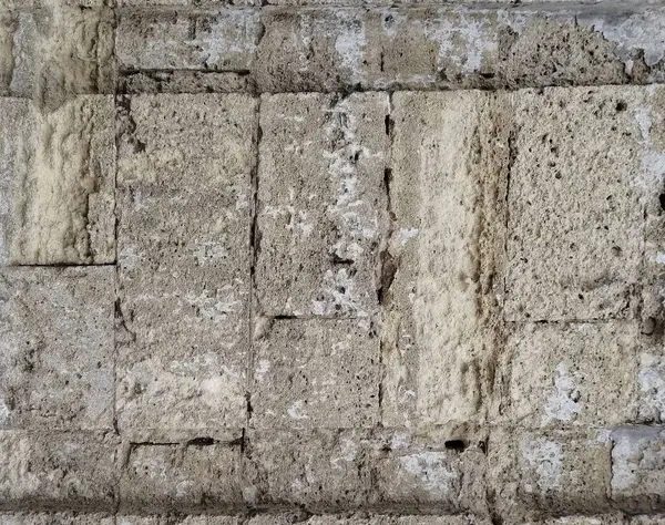 Wall Lined Large Shell Rock Bricks Old Building Materials — Fotografia de Stock