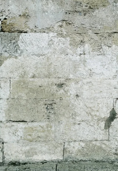 Wall Lined Large Shell Rock Bricks Old Building Materials —  Fotos de Stock