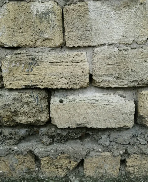 Wall Lined Large Shell Rock Bricks Old Building Materials — 图库照片