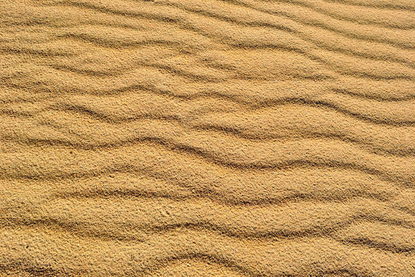 loose sand under the influence of the wind on the seashore, back