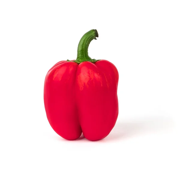 Eine ganze Paprika, rot, auf weißem Hintergrund, mit einem Schatten — Stockfoto