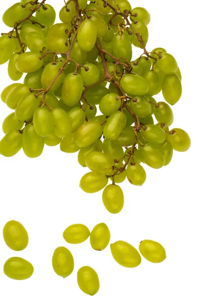 Bunch Table Grapes White Background Bunch White Grapes Scattered White — Stock Photo, Image