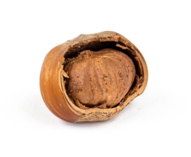 Fındıklı, fındıklı, kısmen kabuklu, beyaz arka planda, izole edilmiş bir gölgesi var.