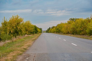 Yol, ormanın ve tarlaların kenarlarında asfaltlandı.