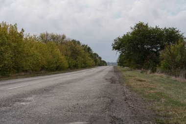 Sonbaharda yol kenarında ağaçlar olan asfalt yol.