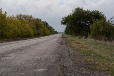Sonbaharda yol kenarında ağaçlar olan asfalt yol.