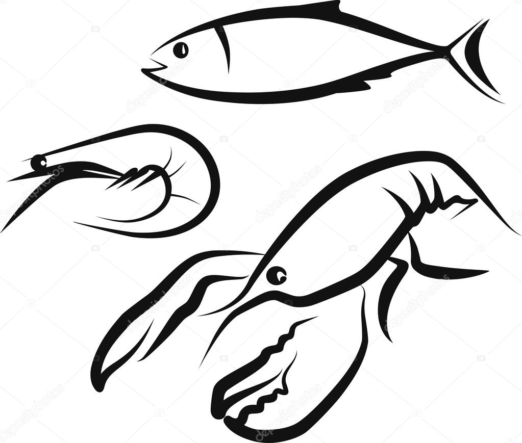 Illustration of seafood