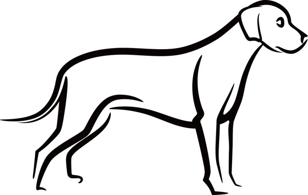 Ilustración simple con un perro —  Fotos de Stock