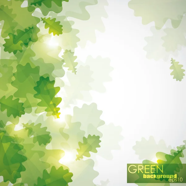 Yeşil meşe yaprakları ile arka plan — Stok Vektör