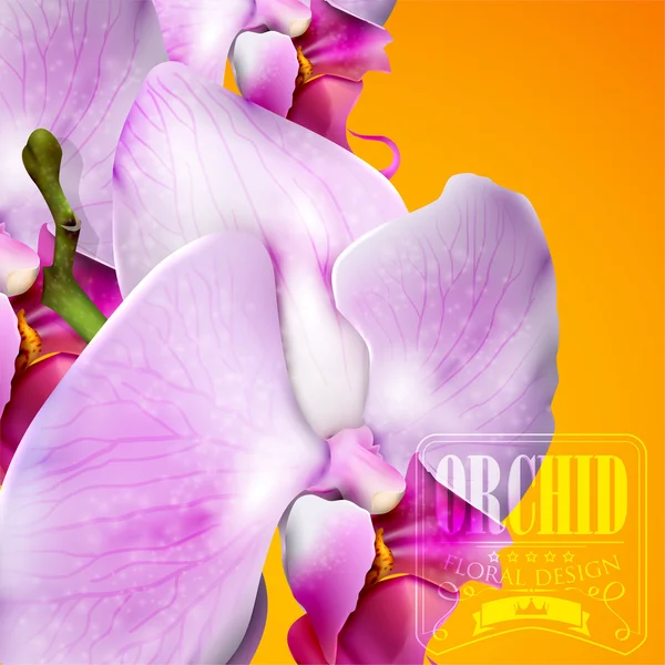 Sfondo floreale con orchidea fiorita — Vettoriale Stock