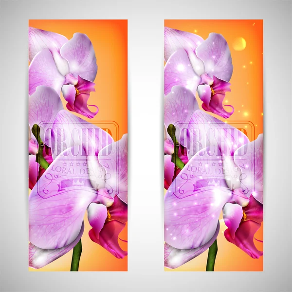 Orkide çiçeği ile kart dizisini — Stok Vektör