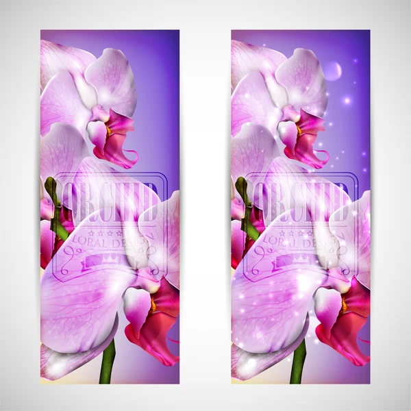 Sada karet s květy orchideí — Stockový vektor