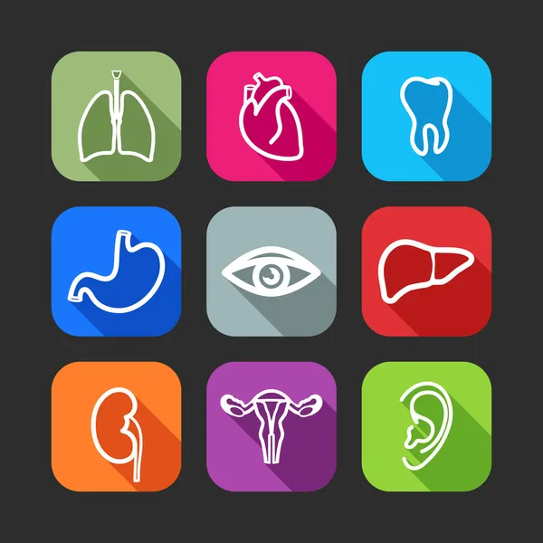 Icone piatte per applicazioni web e mobili con organi umani — Vettoriale Stock