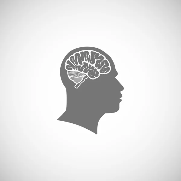 Cabeza humana con cerebro — Vector de stock