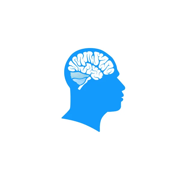 Human head with brain — Stock Vector