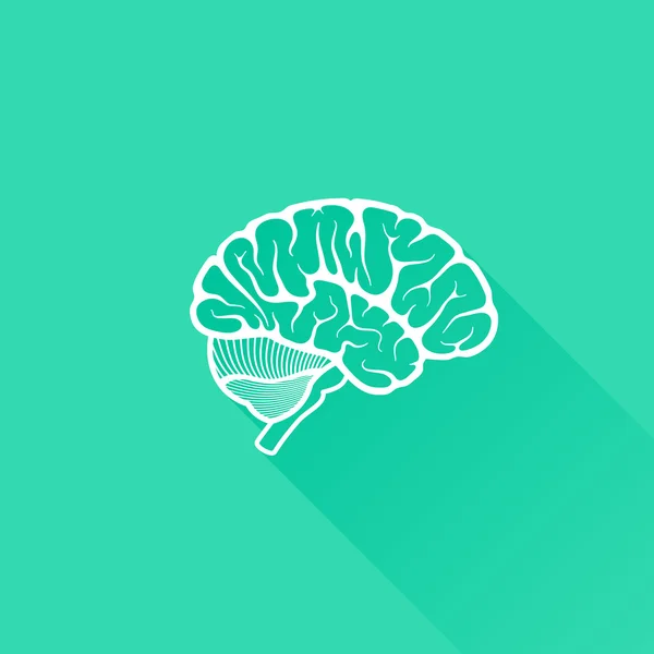 Menneskelig hjerne – Stock-vektor