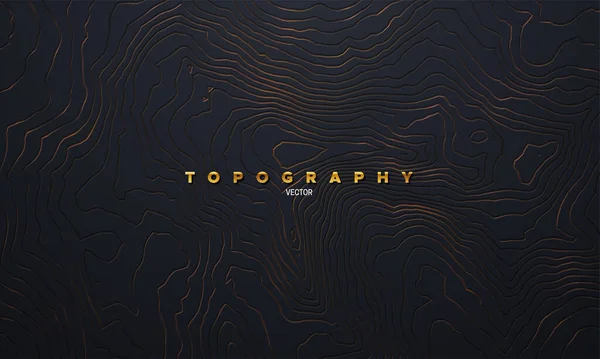 Golden Bronze Topography Pattern Vector Illustration Heights Map Topographic Backdrop — Stockvektor
