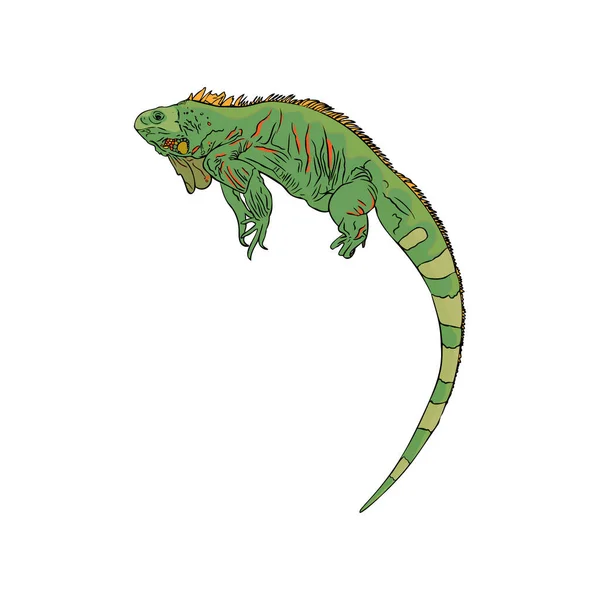 Vector Illustration Iguana Tropical Lizard Isolated Exotic Animal Line Printing — Stockový vektor